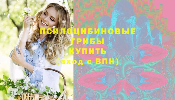 стаф Инсар